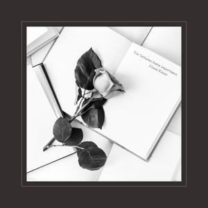 黄色电影在线免费观看
